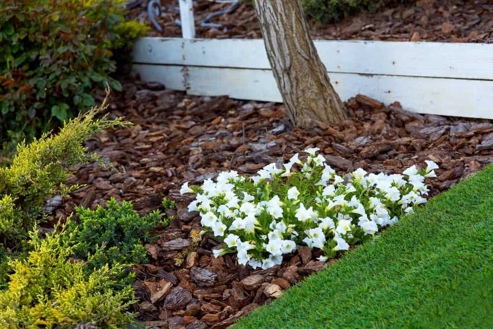 mulch on your pavement