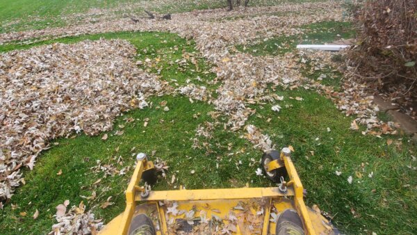 YARD-CLEANUP-600x338