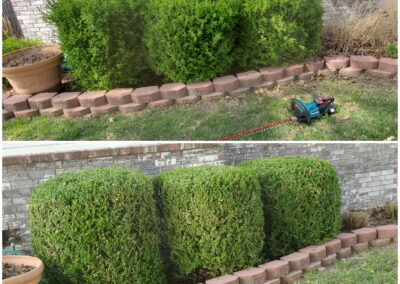 before and after shrubs - Divine Lawns