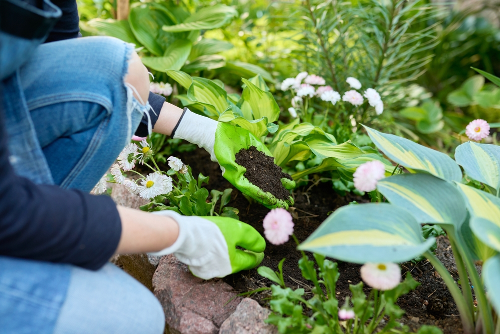 Don’t Soil Yourself – Let the Pros Handle Your Flowerbeds