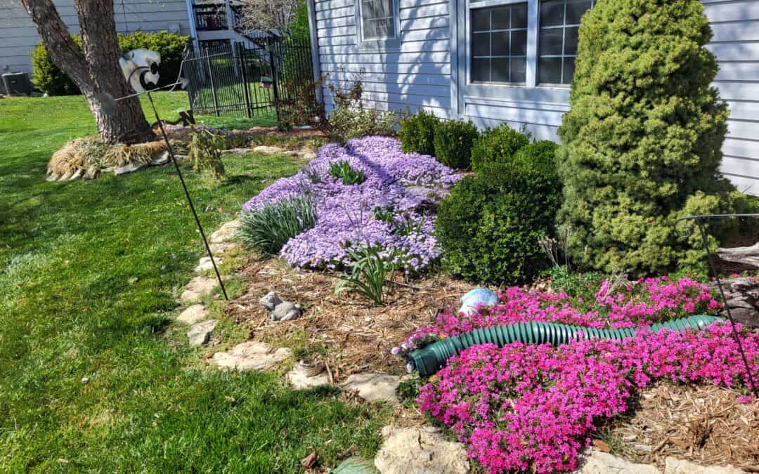 Lawn Maintenance Hacks: How to Prepare Mulch Beds for Winter