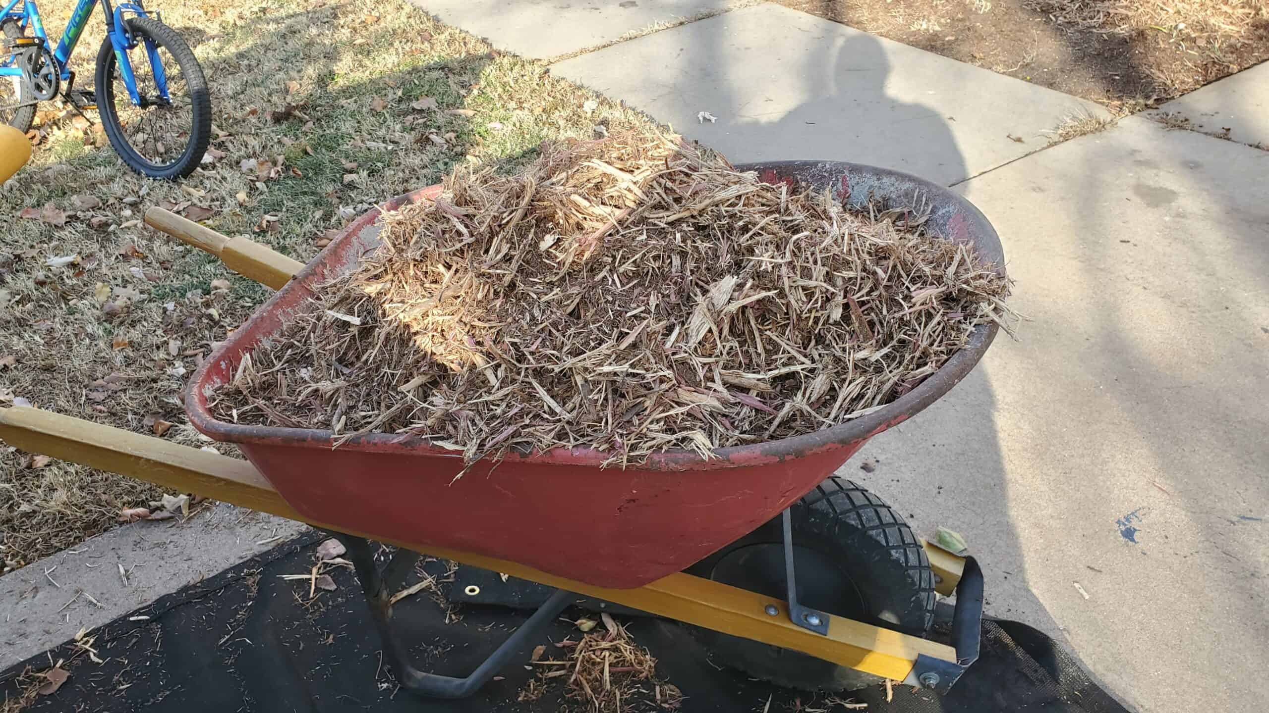  a red wheelbarrow filled with fresh brown mulch ready for installation