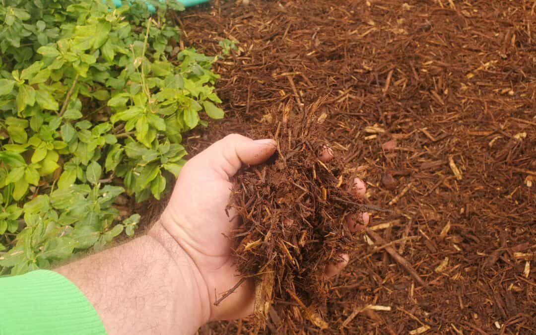 Mulch Calculations and Amounts